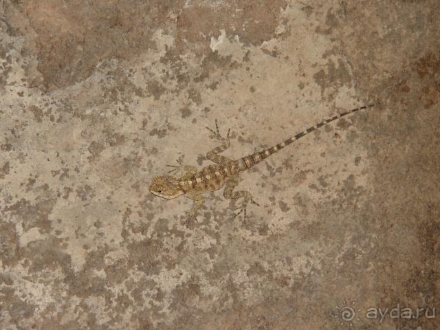 Отдых на Кипре 2008