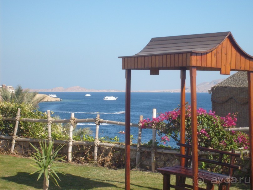 фото Island garden resort