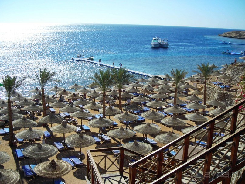 фото Island garden resort