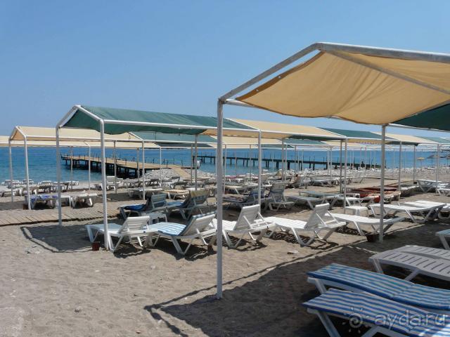 фото Перуника