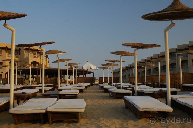 Альбом отзыва "Отель не стоит этих денег"