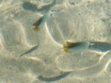 Аккуратный маленький ухоженный отель.