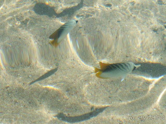 Аккуратный маленький ухоженный отель.