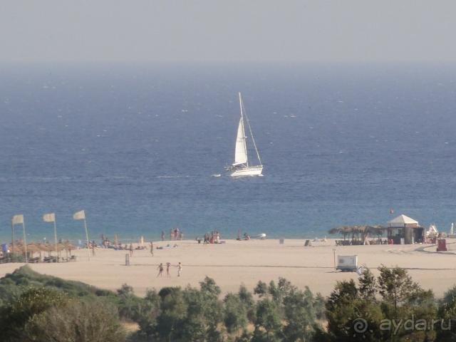 фото Сирена