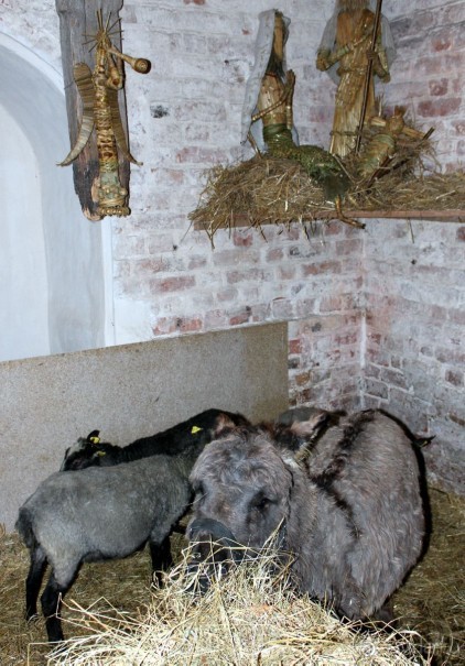 Рождественский Вильнюс.