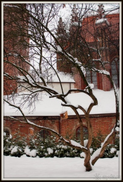 Рождественский Вильнюс.