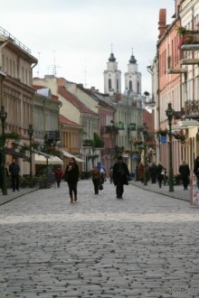 Спасибо гостеприимной Литве!