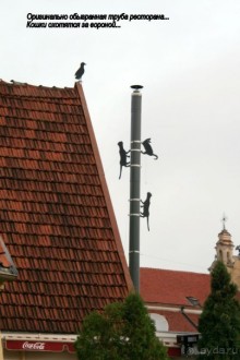 Спасибо гостеприимной Литве!