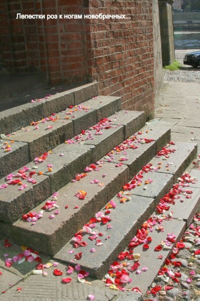 Спасибо гостеприимной Литве!