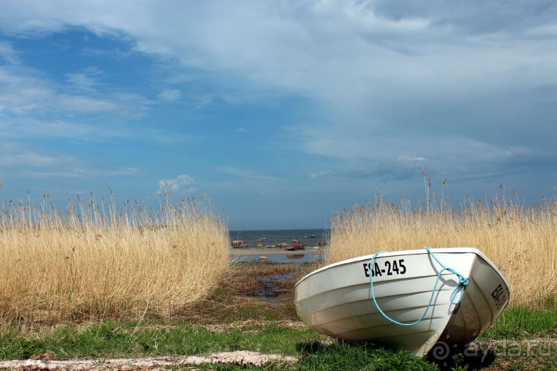 Прогулка по Таллинну...