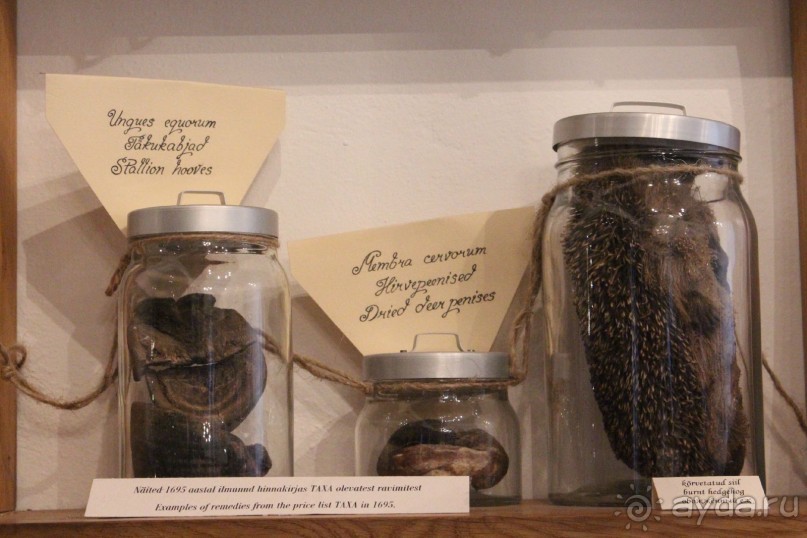 Прогулка по Таллинну...