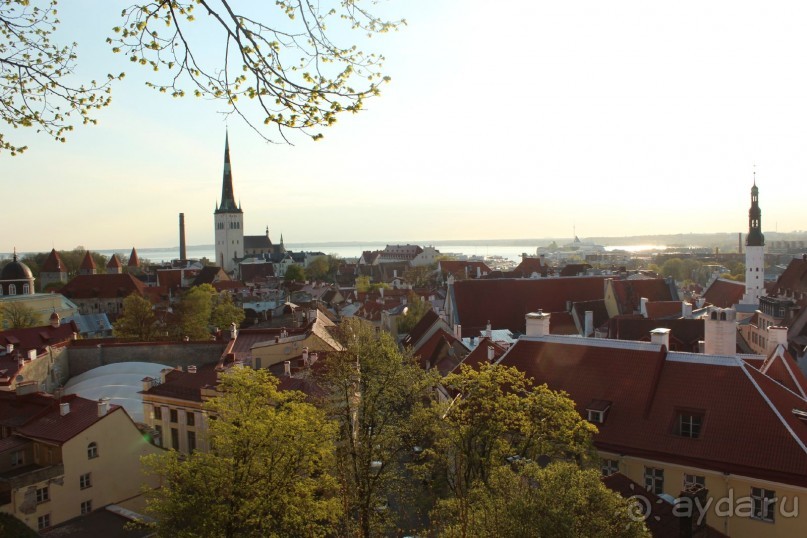 Прогулка по Таллинну...