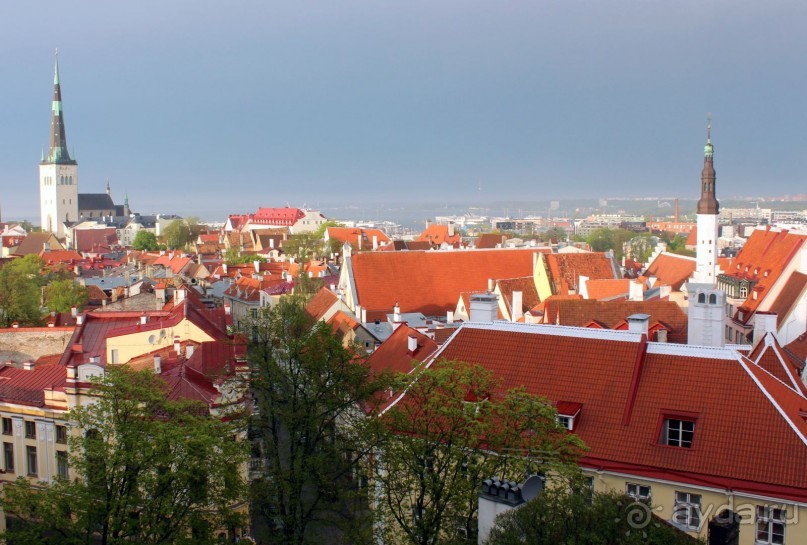 Прогулка по Таллинну...