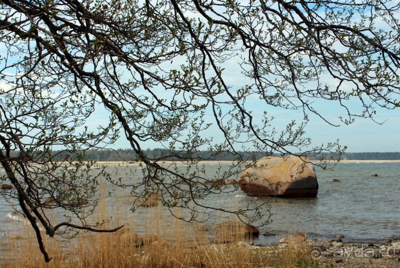 Прогулка по Таллинну...