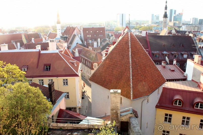 Прогулка по Таллинну...