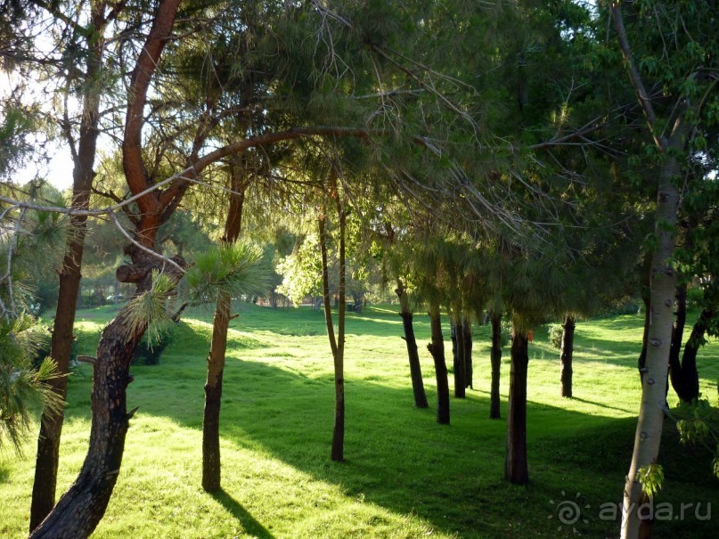 фото Greene Park