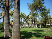 фото Greene Park