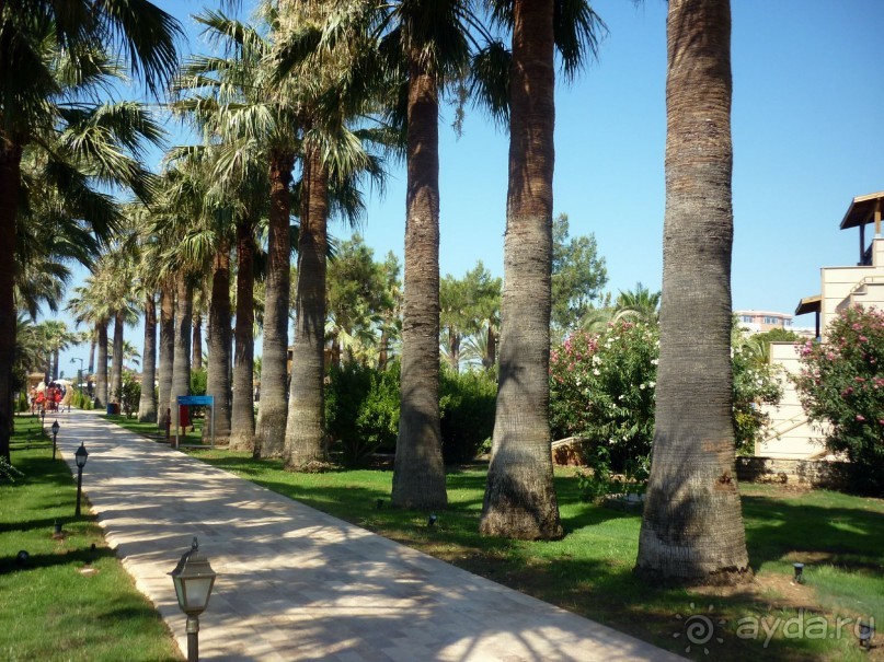 фото Greene Park