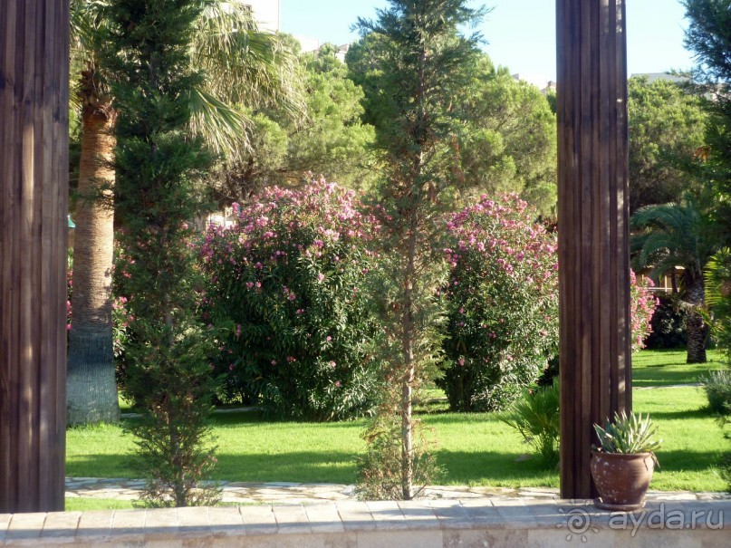 Цена-качество сопоставимы! Обратите внимание на отель!!!