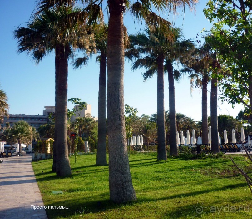 Цена-качество сопоставимы! Обратите внимание на отель!!!