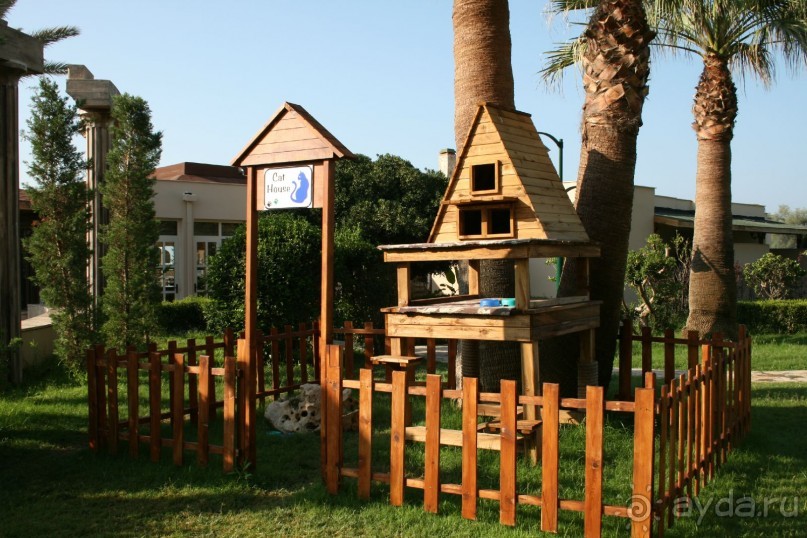 Что изменилось в CRYSTAL TAT BEAH ?