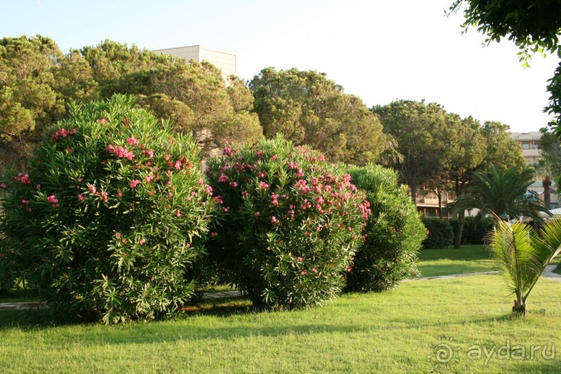 Что изменилось в CRYSTAL TAT BEAH ?