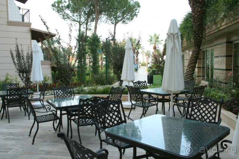 Что изменилось в CRYSTAL TAT BEAH ?