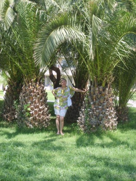 Маритишка the best! А кому не понравился тот идиот!