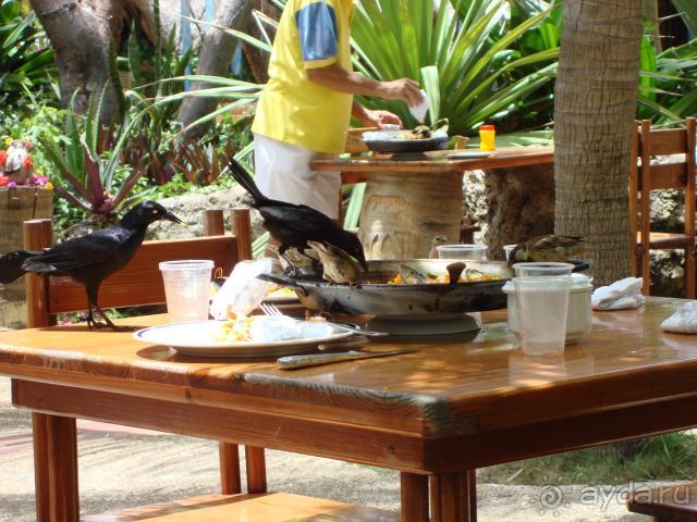 фото Melia Varadero