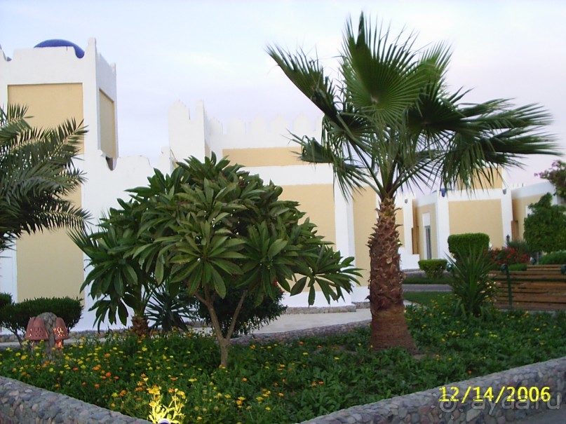 Отдых в Lilly Land Практические советы.