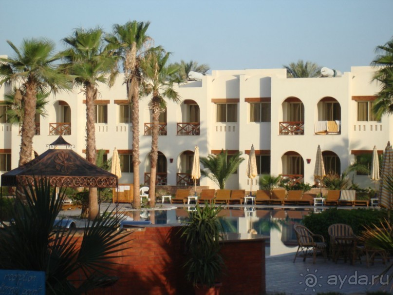 фото Amphoras Aqua Hotel