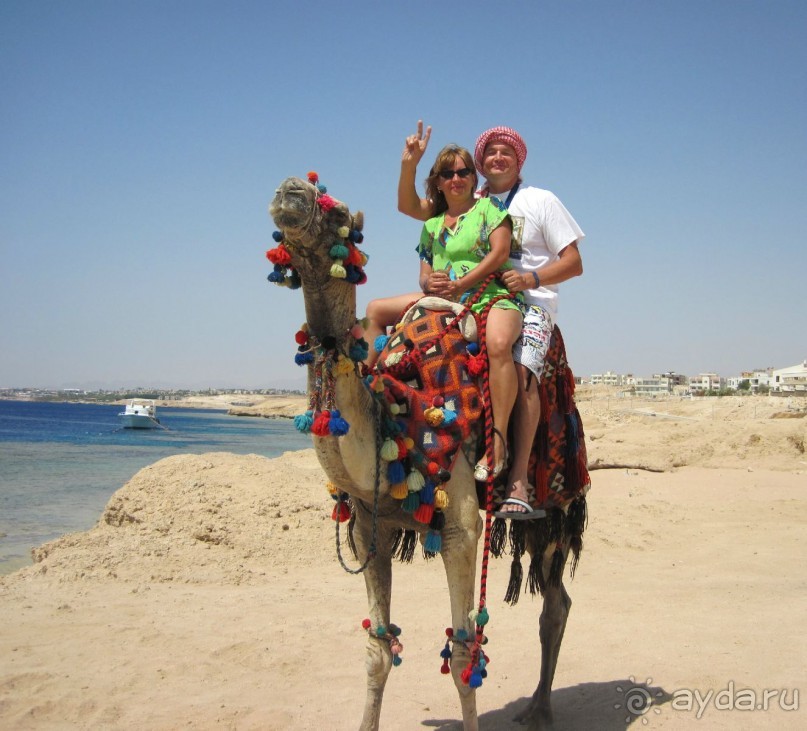 фото Melton Beach Resort 