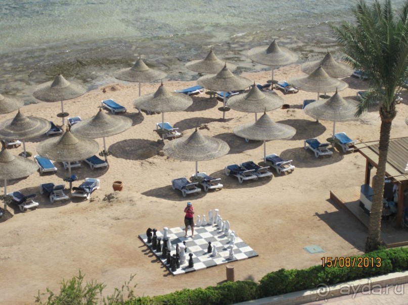 В Каире восстание, а у нас всё отлично!