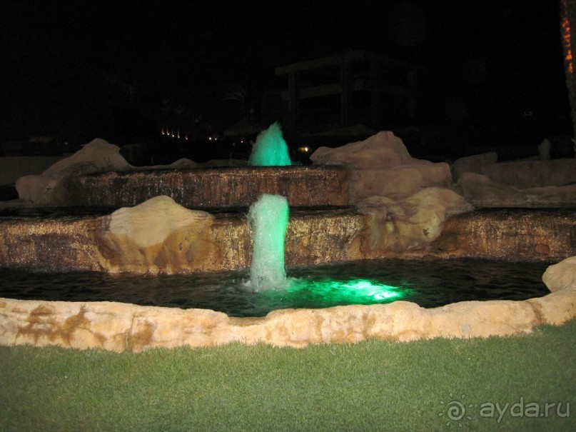 В Каире восстание, а у нас всё отлично!