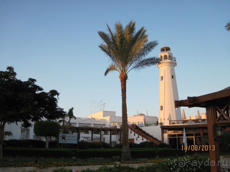 В Каире восстание, а у нас всё отлично!