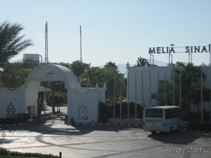 В Каире восстание, а у нас всё отлично!