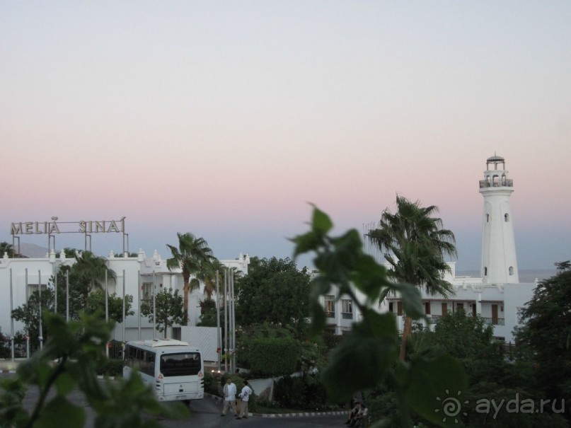 В Каире восстание, а у нас всё отлично!