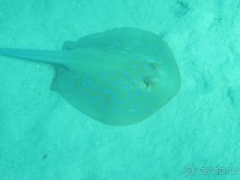 фото Hurghada Long Beach Resort