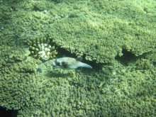 фото Hurghada Long Beach Resort