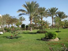 фото Hurghada Long Beach Resort