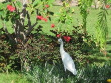 фото Hurghada Long Beach Resort