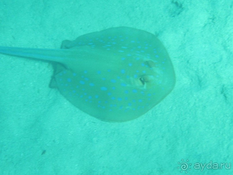 Отдых получился