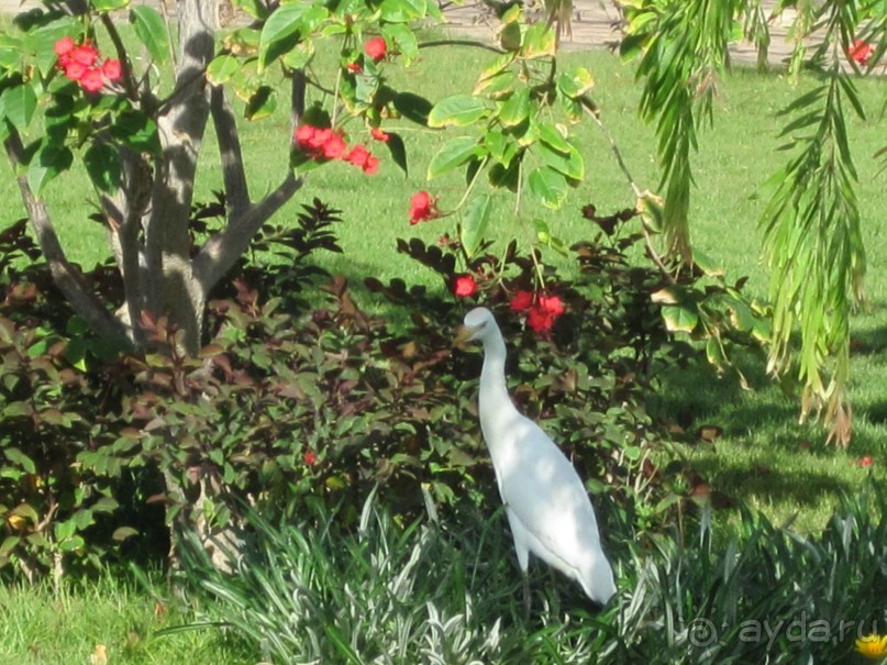 Отдых получился