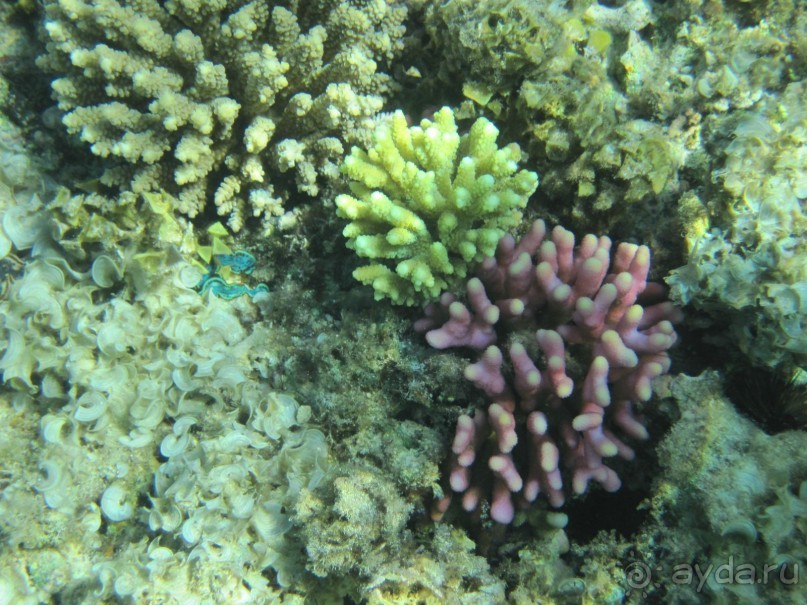 Отдых получился