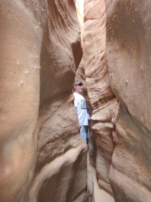 отель пользуется повышенным спросом