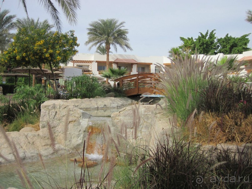 отель пользуется повышенным спросом