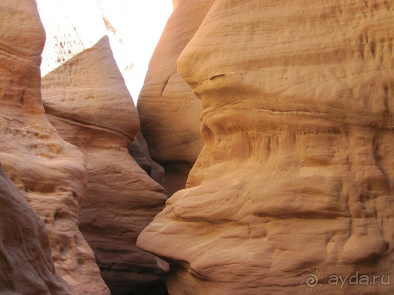 отель пользуется повышенным спросом