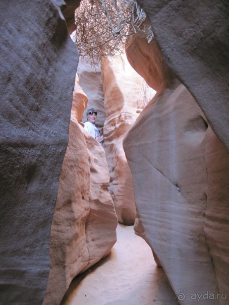 отель пользуется повышенным спросом