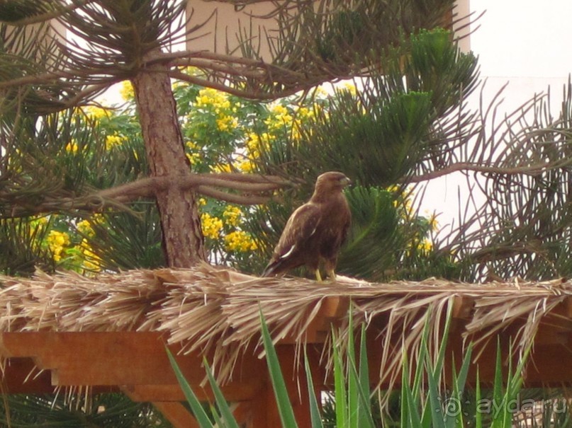 отель пользуется повышенным спросом