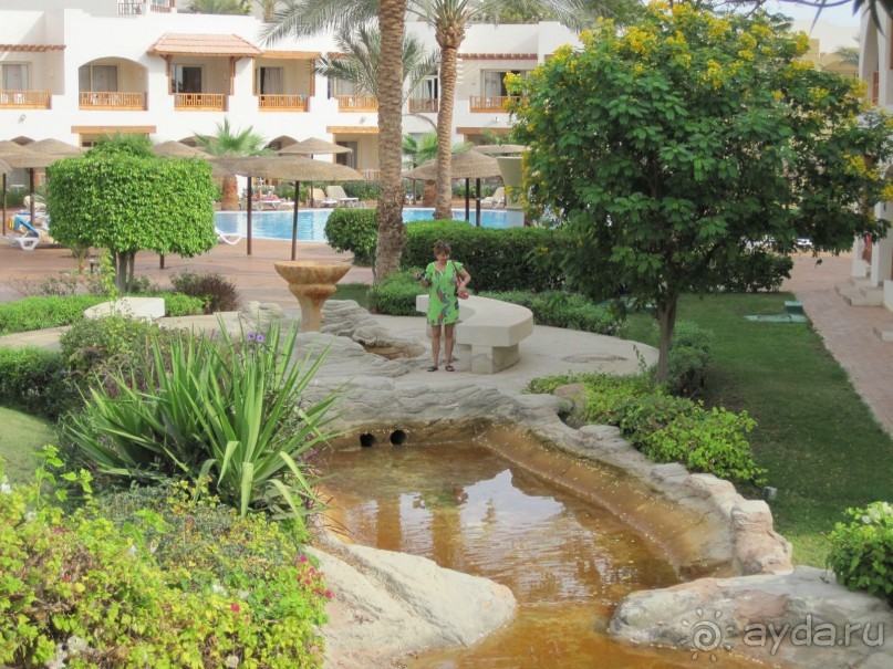 отель пользуется повышенным спросом